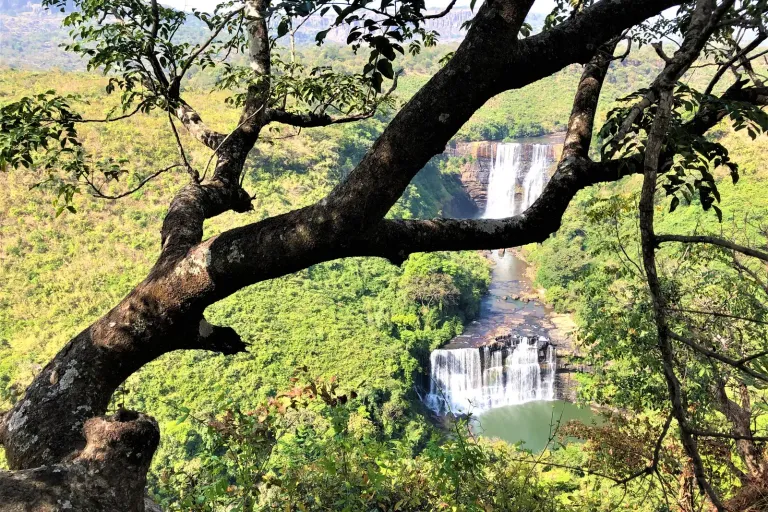 Cascades de Kambadaga au milieu de la végétation guinéenne