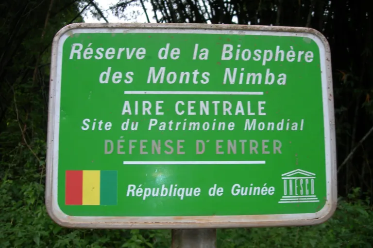 Paysage naturel de la réserve du mont Nimba en Guinée